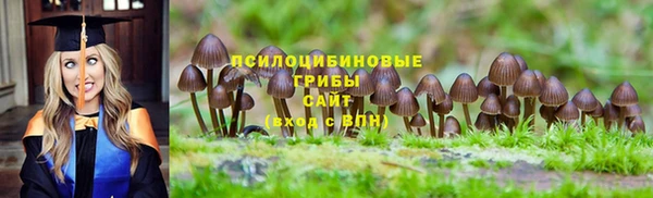 ALPHA PVP Баксан