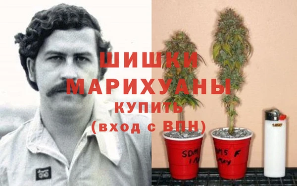 герыч Тайга