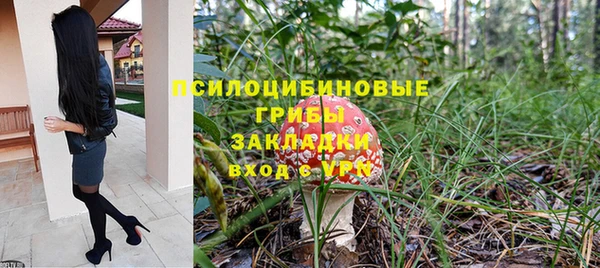 прущая мука Арсеньев