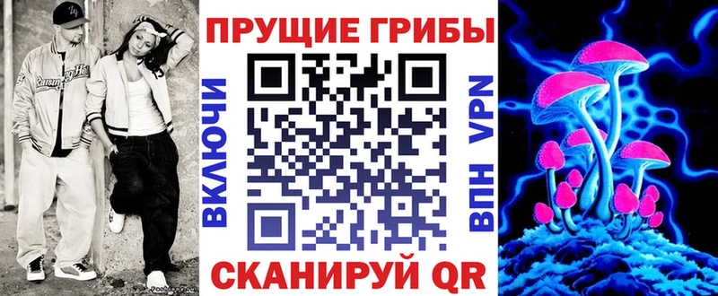 Галлюциногенные грибы мицелий  блэк спрут ССЫЛКА  Рыбинск 