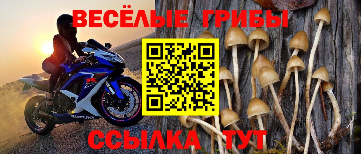 купить наркоту  Псилоцибиновые грибы Magic Shrooms  Вход с VPN  Рыбинск 