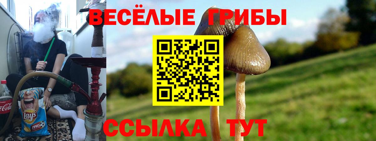 Псилоцибиновые грибы Cubensis Рыбинск